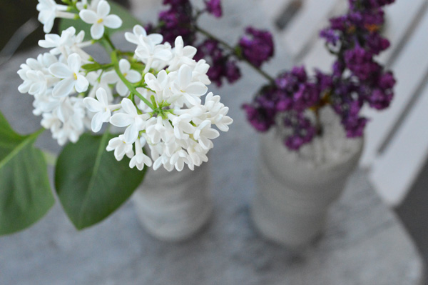 fleurs vases effet béton
